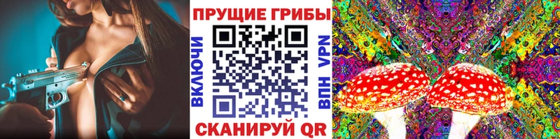 продажа наркотиков  Новый Оскол  Псилоцибиновые грибы Magic Shrooms 
